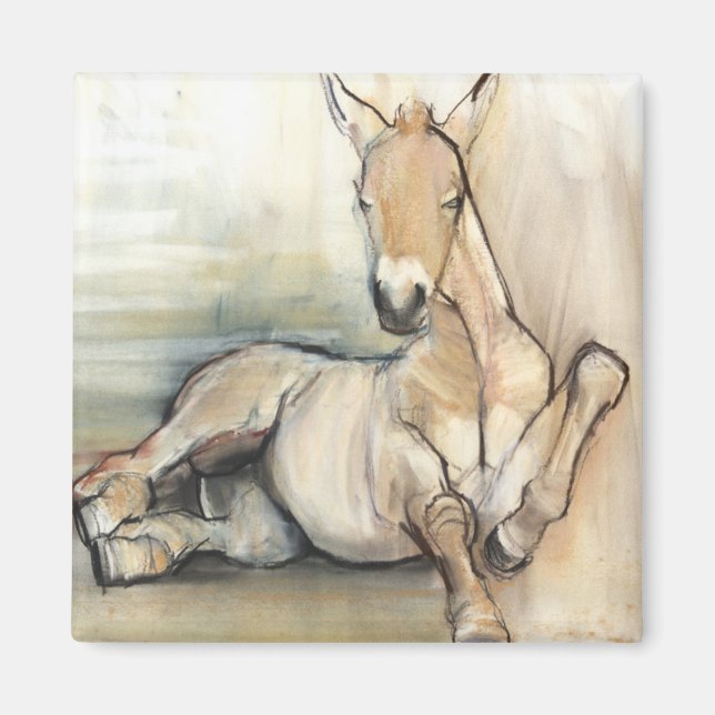Foal 2012 magnet (Front)