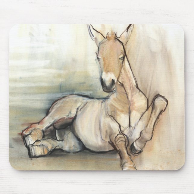 Foal 2012 mouse pad (Front)