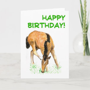 'Foal' Birthday Card