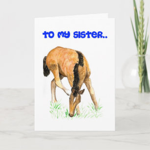 'Foal' Birthday Card for Sister