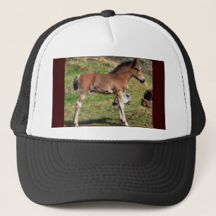 Foal black Hat