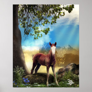 Foal Horse in Paradise Poster
