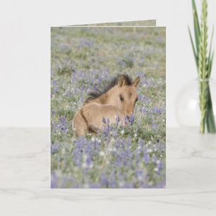 Foal in Lupine Wild Horse Greeting Card