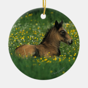 Foal Laying Down in Flowers Ceramic Ornament