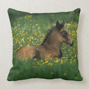 Foal Laying Down in Flowers Cushion