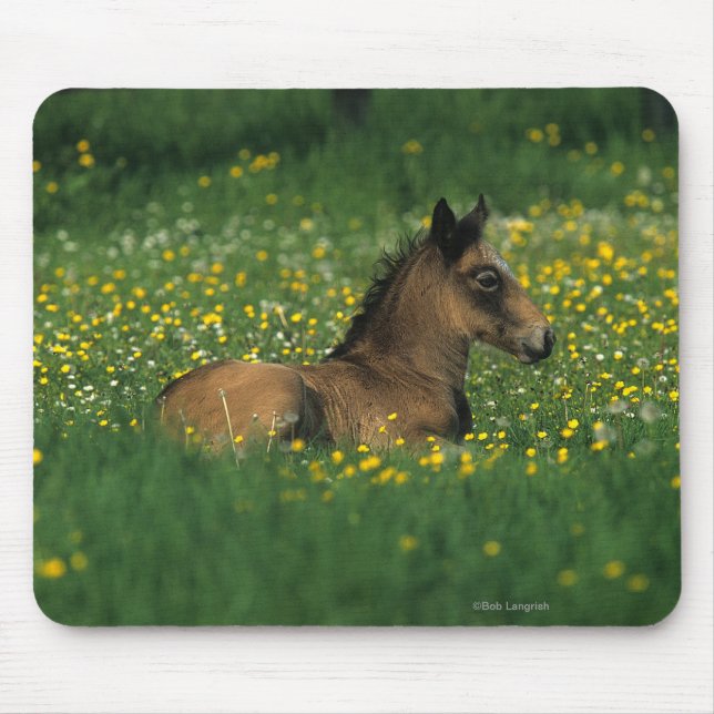 Foal Laying Down in Flowers Mouse Pad (Front)