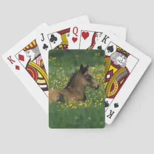 Foal Laying Down in Flowers Playing Cards