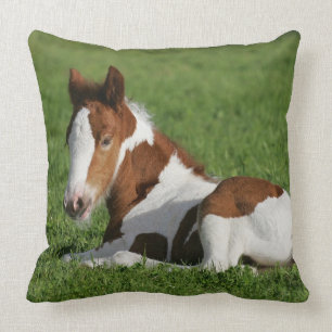 Foal Laying in Grass Cushion