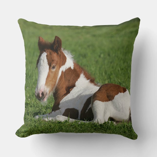 Foal Laying in Grass Cushion (Front)