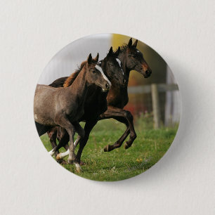 Foal Running 6 Cm Round Badge