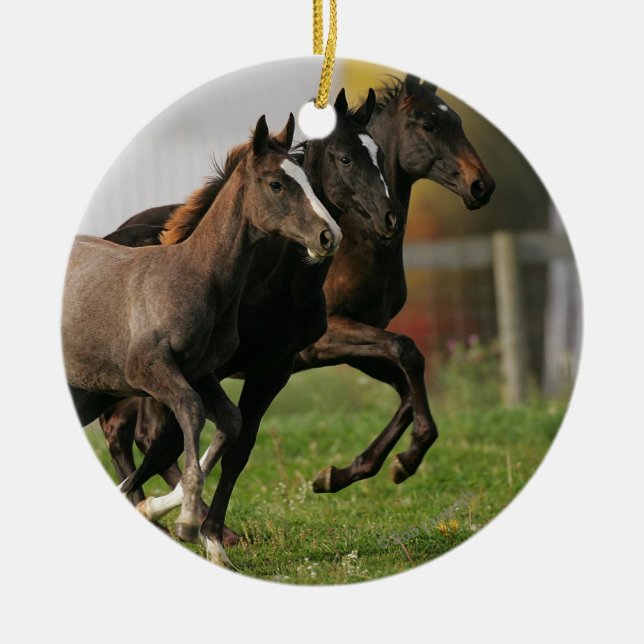 Foal Running Ceramic Ornament (Front)