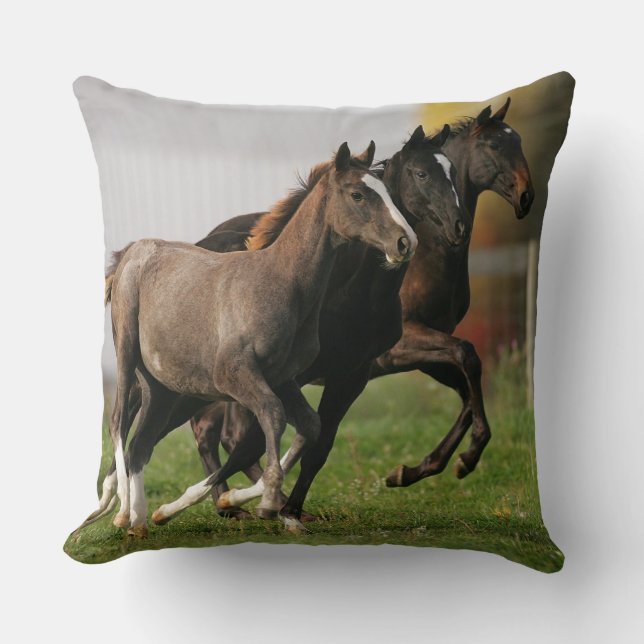 Foal Running Cushion (Front)
