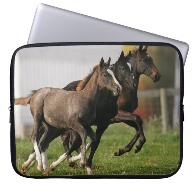 Foal Running Laptop Sleeve (Front)