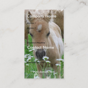 Foal Smelling Daisies on Business Card