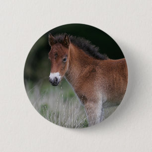 Foal Standing 6 Cm Round Badge