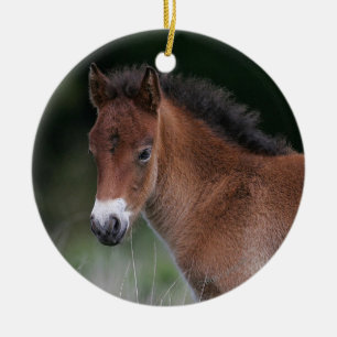 Foal Standing Ceramic Ornament