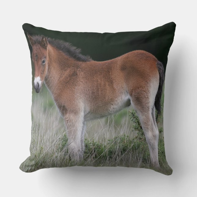 Foal Standing Cushion (Front)
