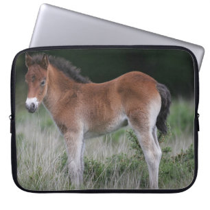 Foal Standing Laptop Sleeve