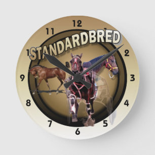 Foal to Racing Round Clock