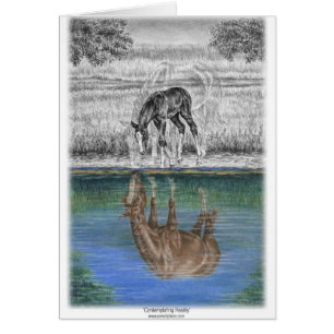 Foal Water Reflection of Horse