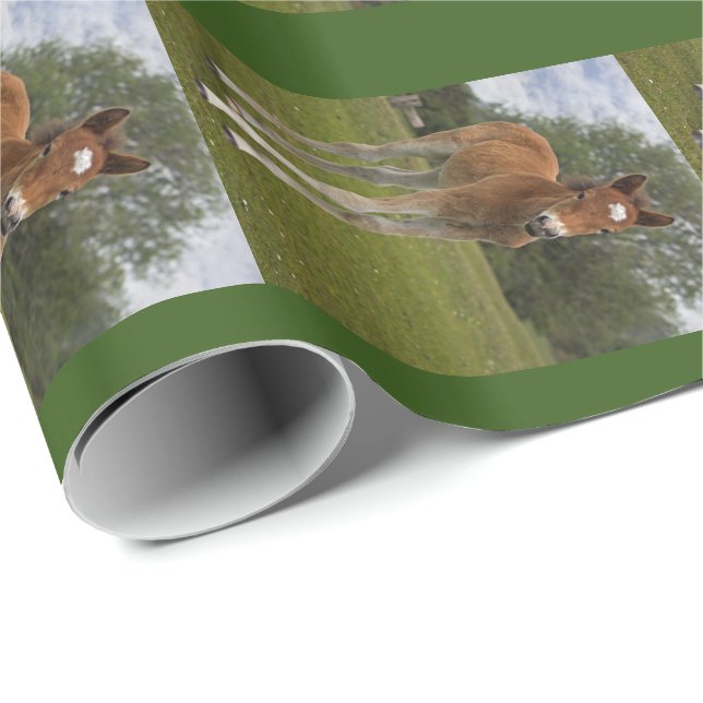 Foal Wrapping Paper (Roll Corner)