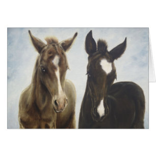 Foals Blank Card
