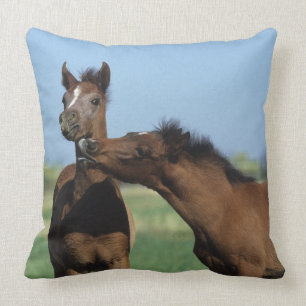 Foals Playing 2 Cushion