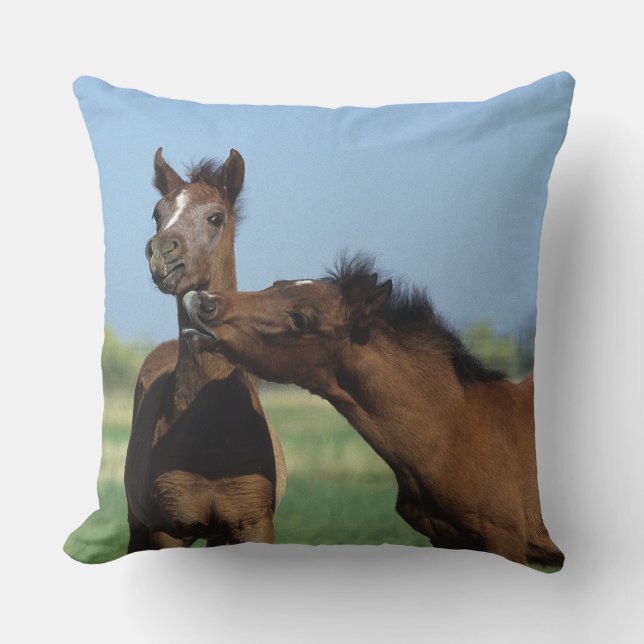 Foals Playing 2 Cushion (Front)