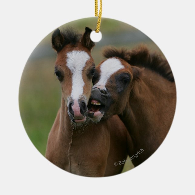 Foals Playing Ceramic Tree Decoration (Front)