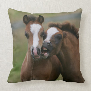 Foals Playing Cushion