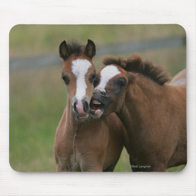 Foals Playing Mouse Pad (Front)