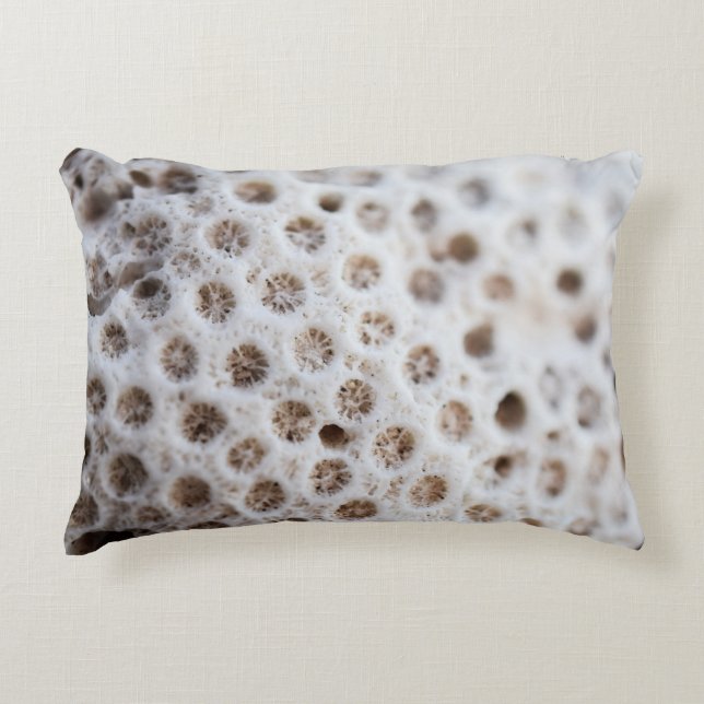 Foam Decorative Cushion (Front)