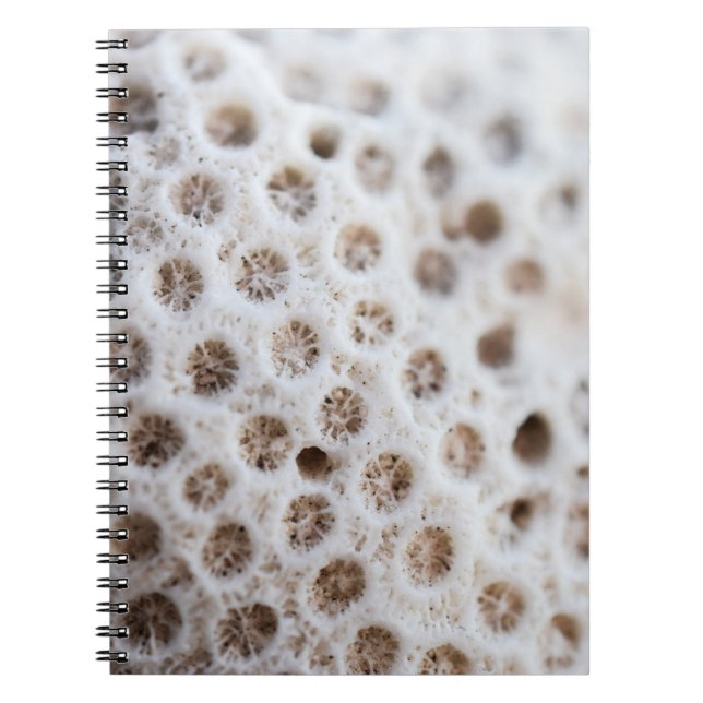 Foam Notebook (Front)