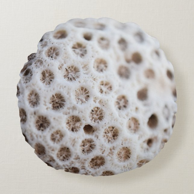 Foam Round Cushion (Front)