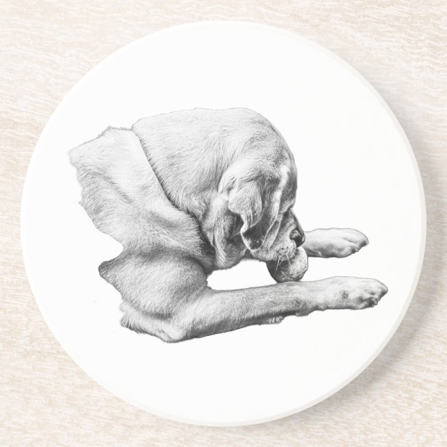 Focus at Play Coaster (Front)