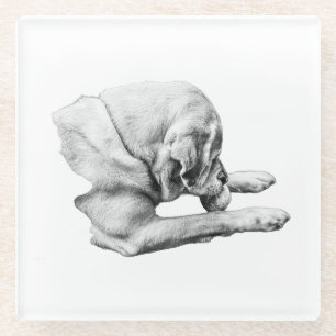 Focus at Play Glass Coaster