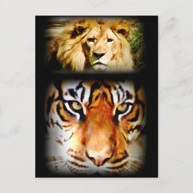 Focus & Courage_ Postcard (Front)