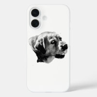 Focus & Grip – Sport Labrador