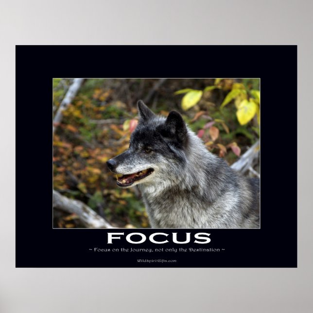 FOCUS Motivational Poster (Front)