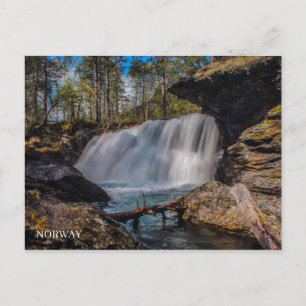 Focus on nature - Norway Postcard