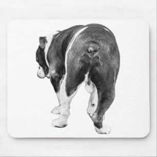 Focused Bulldog, Velvet Desk Tones Mouse Pad