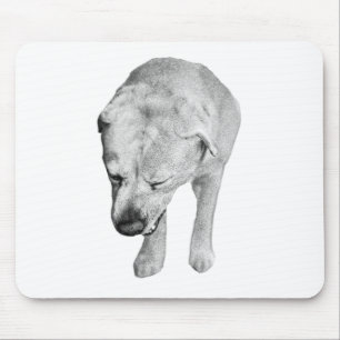 Focused Lab, Velvet Desk Tones Mouse Pad