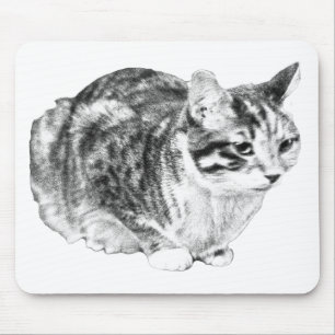 Focused Tabby, Velvet Desk Tones Mouse Pad