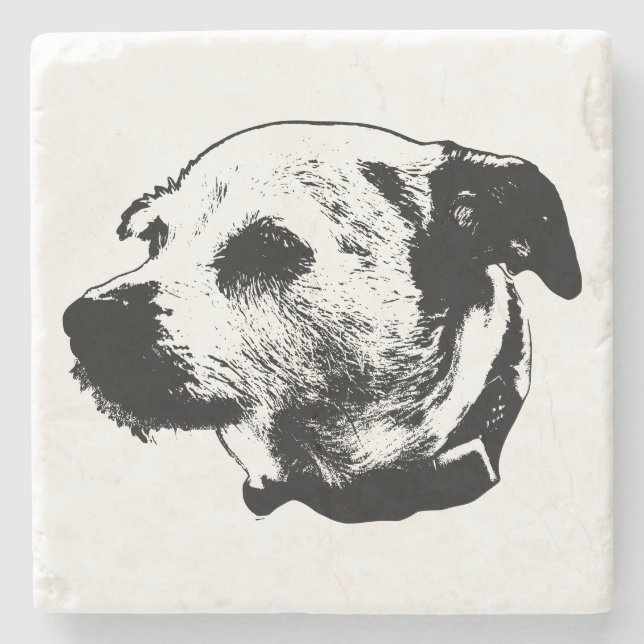 Focused Terrier Mix Coaster (Front)