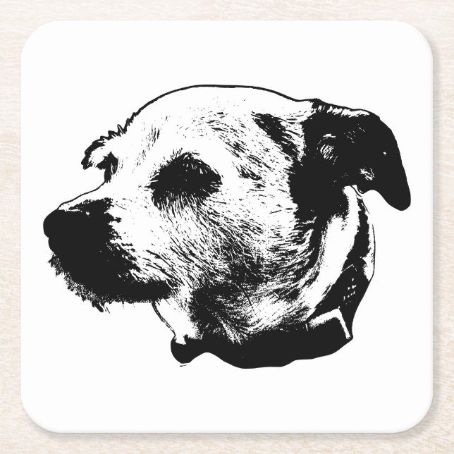 Focused Terrier Mix Coaster (Front)