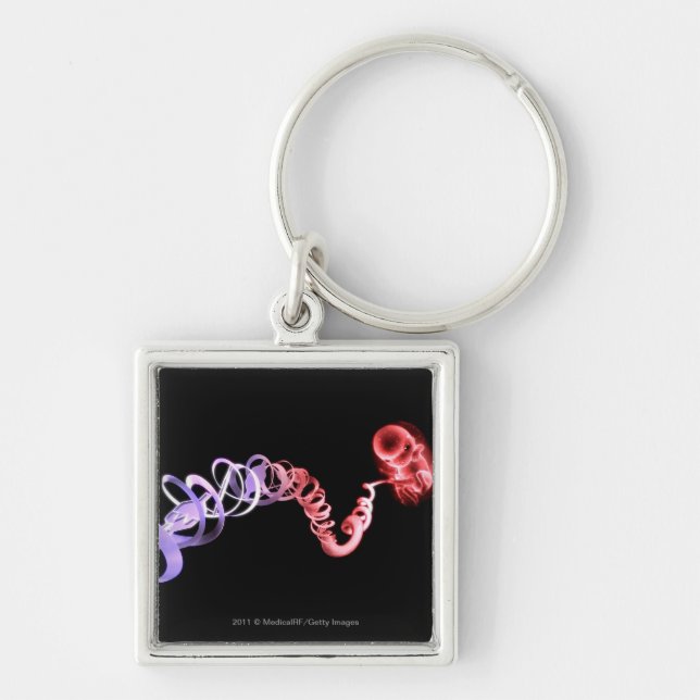 Foetus with an umbilical cord made of DNA strands Key Ring (Front)