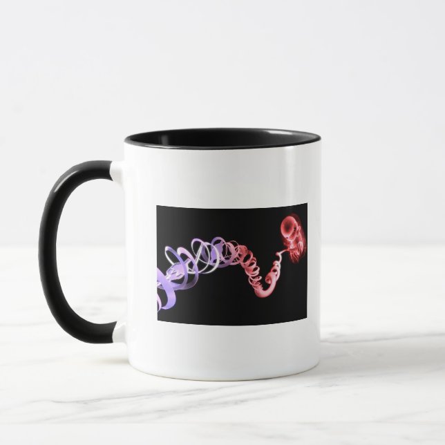 Foetus with an umbilical cord made of DNA strands Mug (Left)