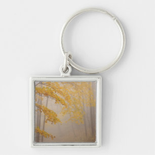 Fog and Autumn foliage, Great Smoky Mountains Key Ring