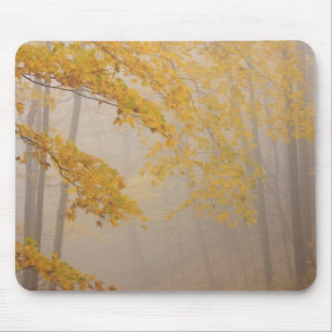 Fog and Autumn foliage, Great Smoky Mountains Mouse Pad