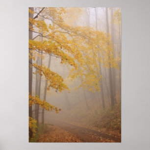 Fog and Autumn foliage, Great Smoky Mountains Poster